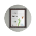 framed mirrors